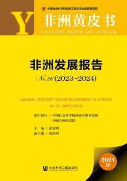 非洲发展报告（no.26·2023～2024）（978-7-5228-4019-2）_正封面缩略图