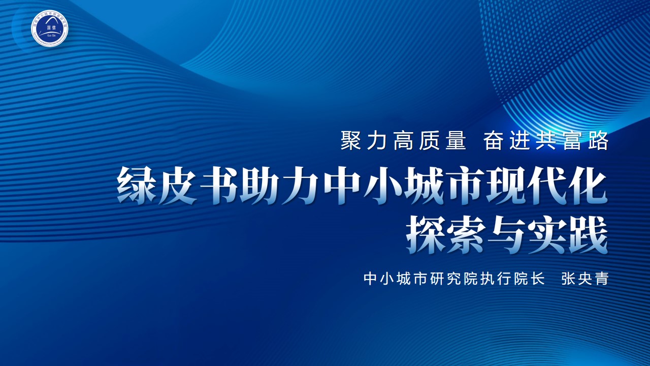 国信中小城市指数研究院执行院长张央青：绿皮书助力中小城市现代化的探索与实践
